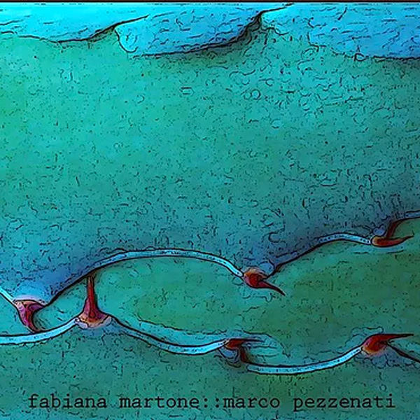 Copertina Fabiana Martone Marco Pezzenati