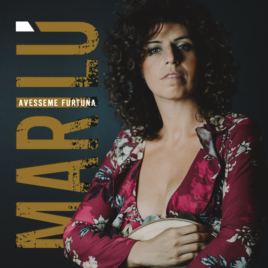 Copertina Avesseme furtuna